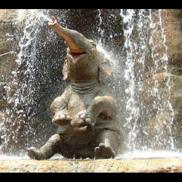 Welcome To Posh Circus at Poshmark =) - Picture 6 of 8